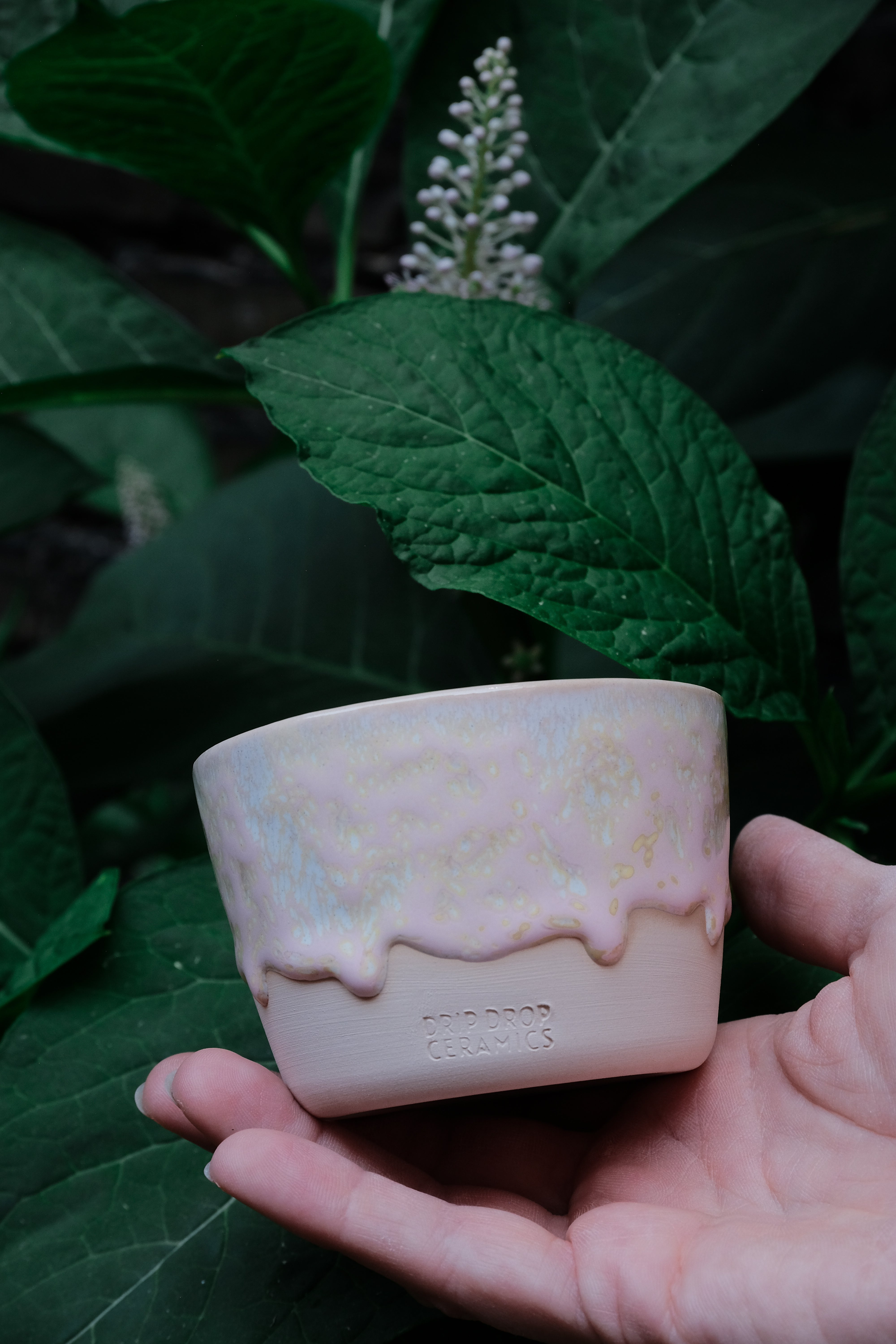 Little Pink Dreggon Mug